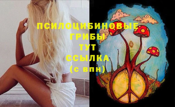 тгк Алексеевка