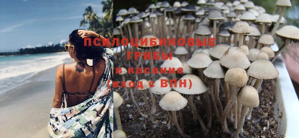 тгк Алексеевка