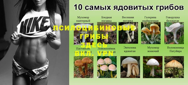 тгк Алексеевка
