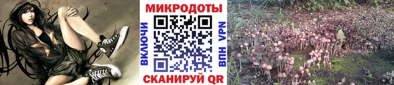 mega вход  Краснослободск  Псилоцибиновые грибы MAGIC MUSHROOMS 